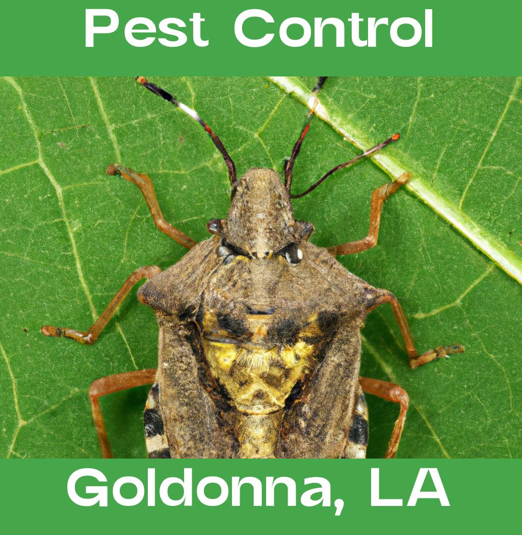 pest control in Goldonna Louisiana