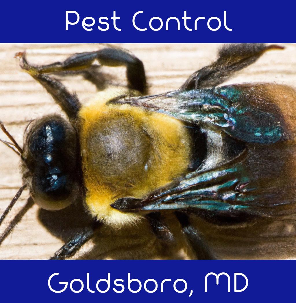 pest control in Goldsboro Maryland