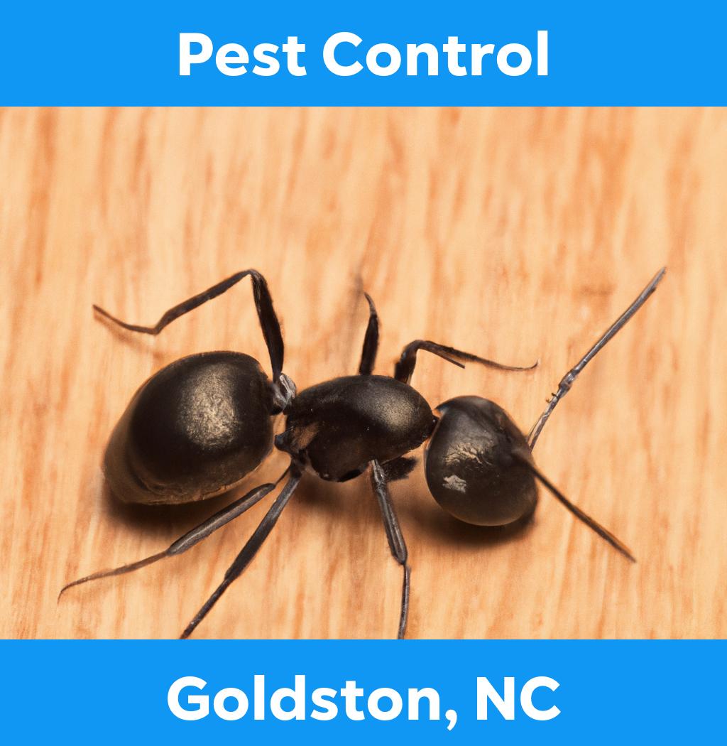 pest control in Goldston North Carolina