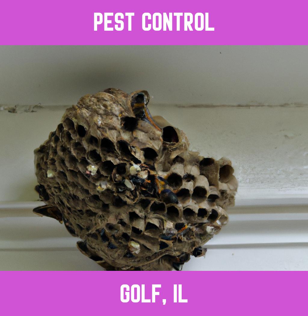 pest control in Golf Illinois