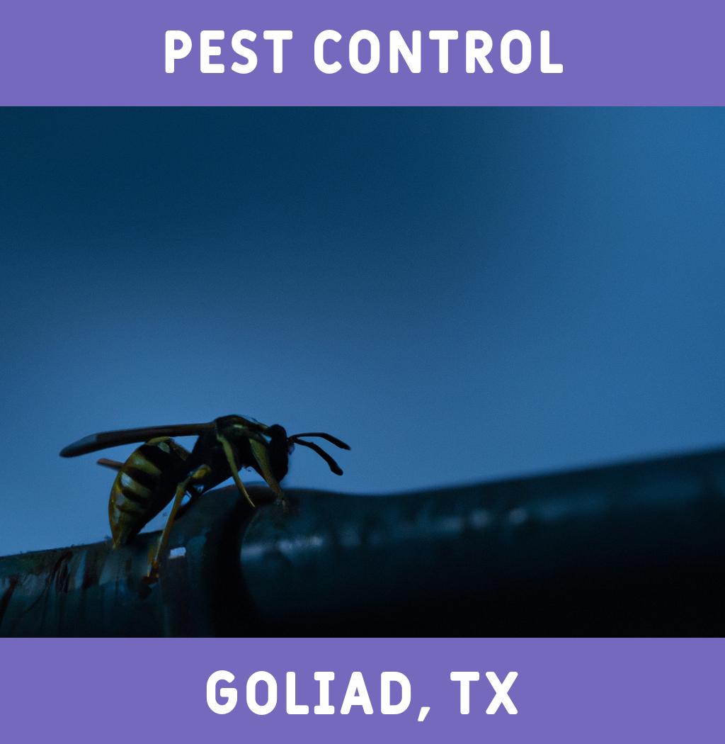 pest control in Goliad Texas