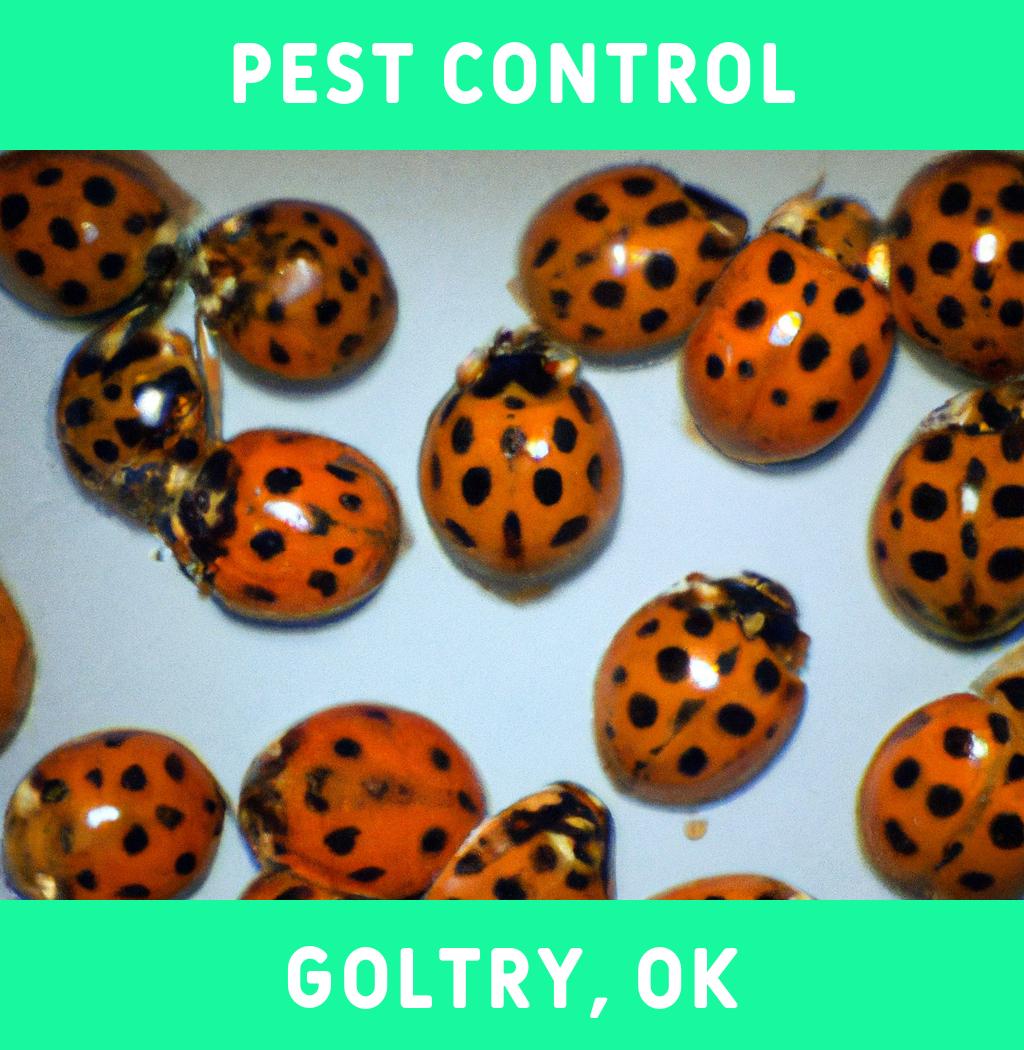 pest control in Goltry Oklahoma