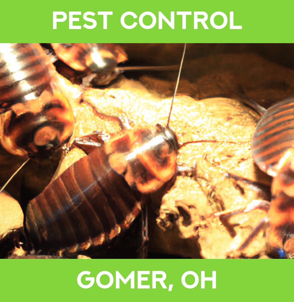 pest control in Gomer Ohio