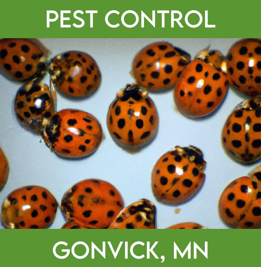pest control in Gonvick Minnesota