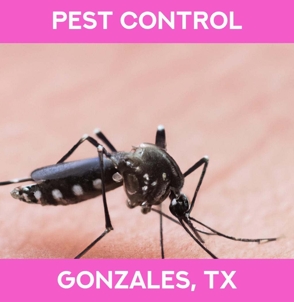 pest control in Gonzales Texas