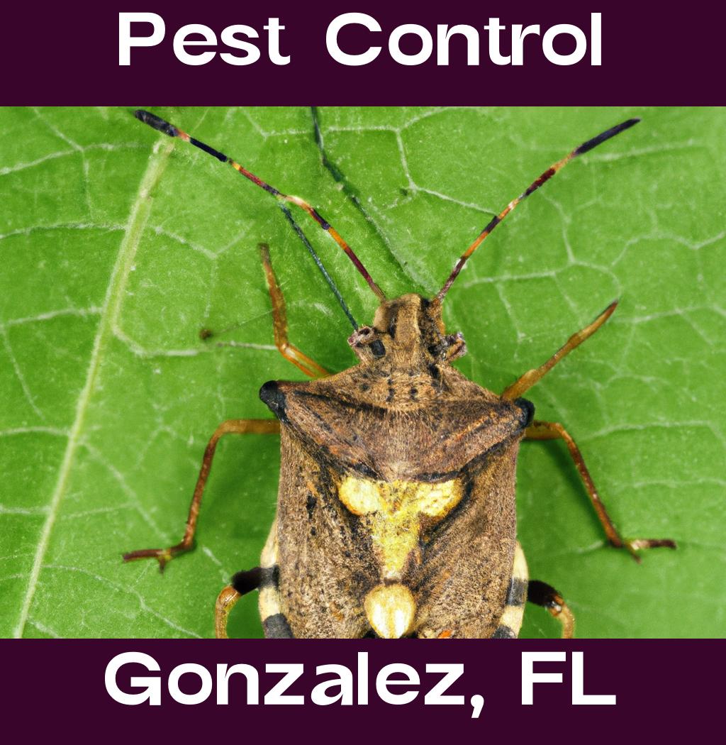 pest control in Gonzalez Florida