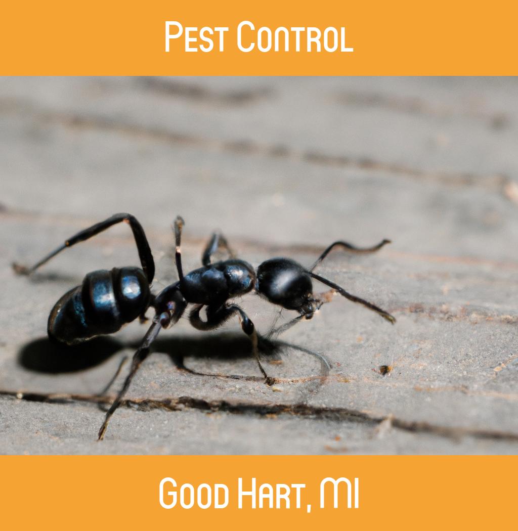 pest control in Good Hart Michigan