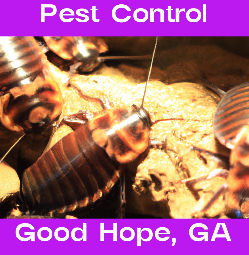pest control in Good Hope Georgia
