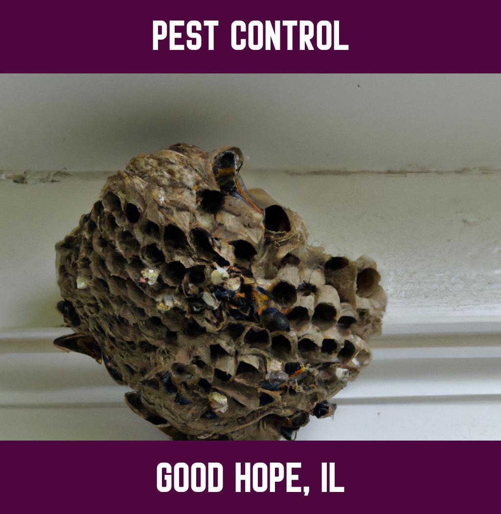 pest control in Good Hope Illinois