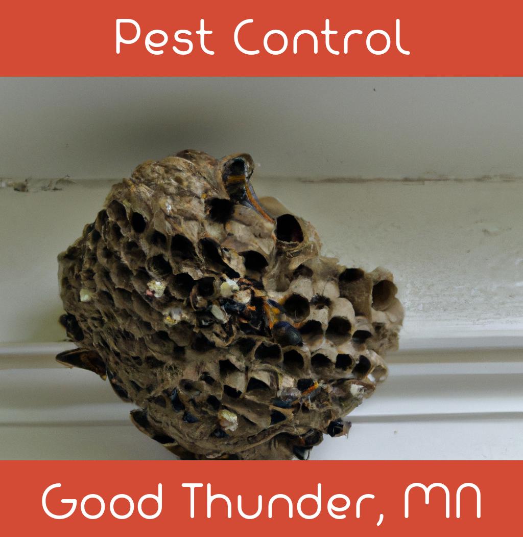 pest control in Good Thunder Minnesota