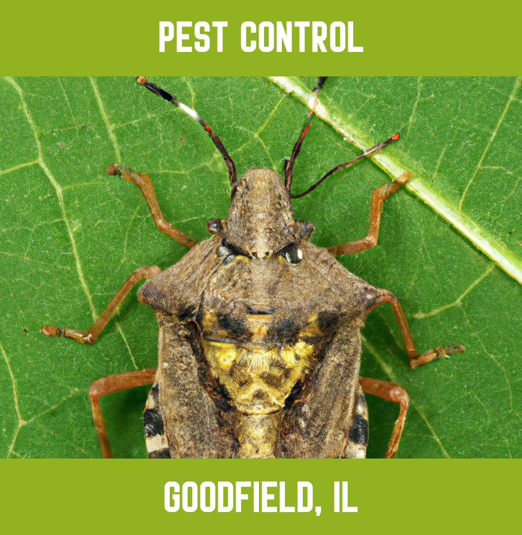 pest control in Goodfield Illinois