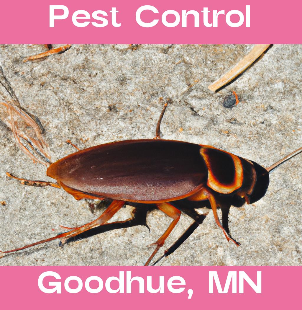 pest control in Goodhue Minnesota