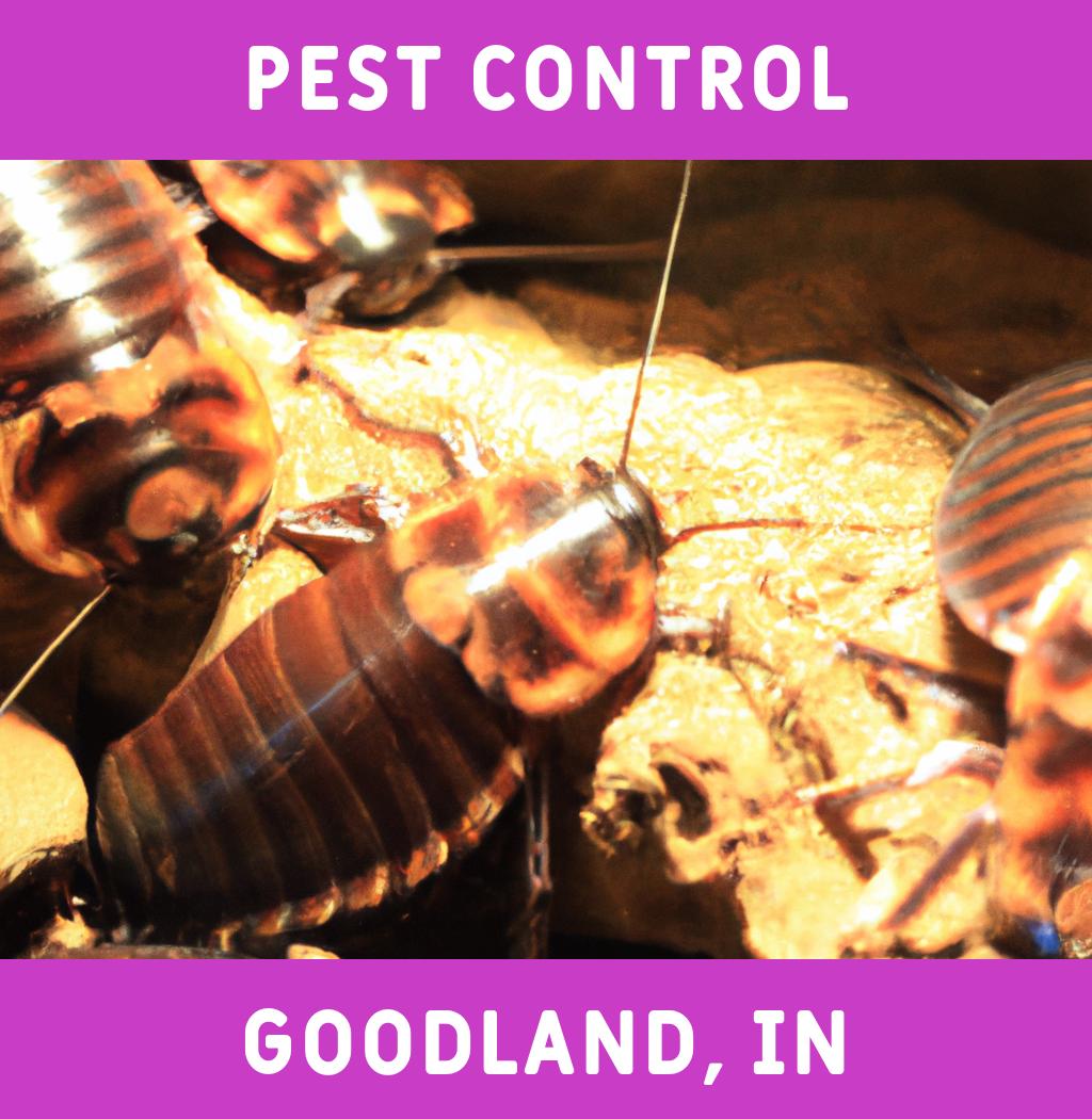 pest control in Goodland Indiana