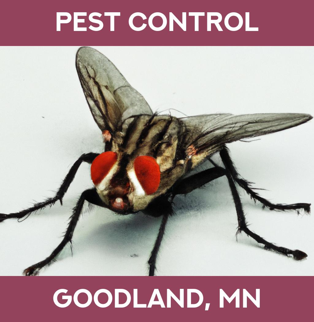 pest control in Goodland Minnesota