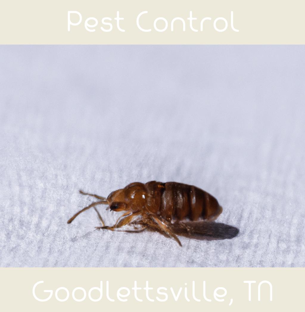 pest control in Goodlettsville Tennessee