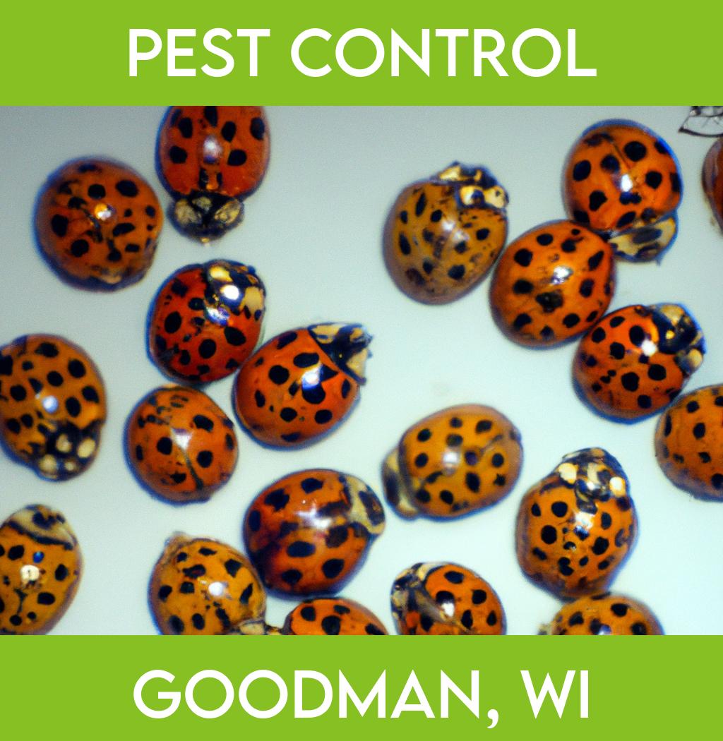 pest control in Goodman Wisconsin