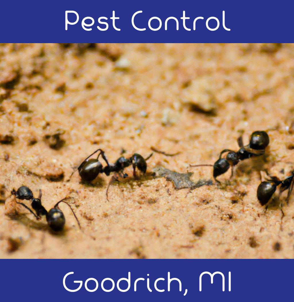 pest control in Goodrich Michigan