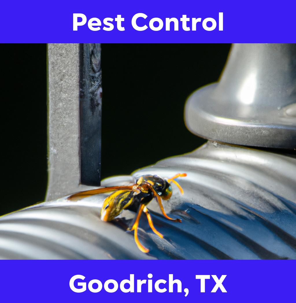 pest control in Goodrich Texas