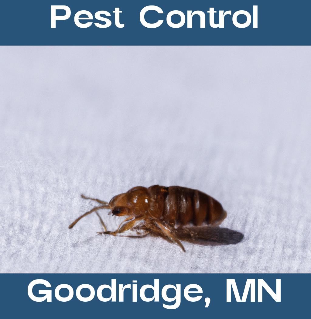 pest control in Goodridge Minnesota