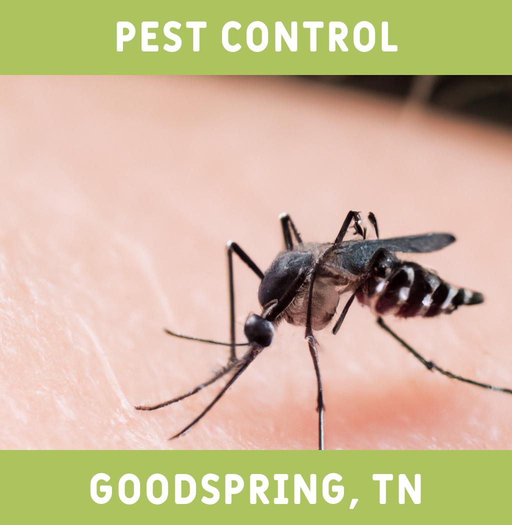 pest control in Goodspring Tennessee