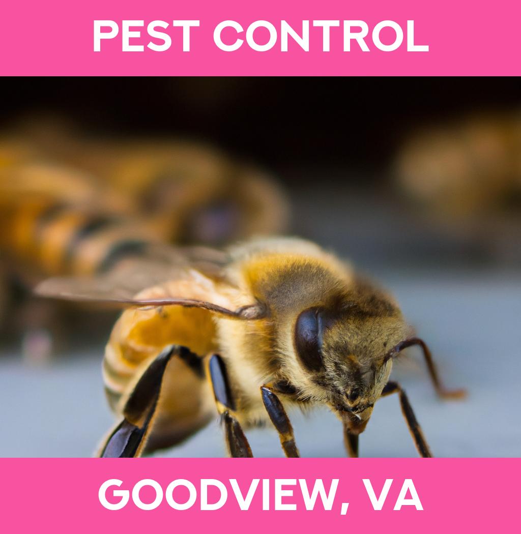 pest control in Goodview Virginia