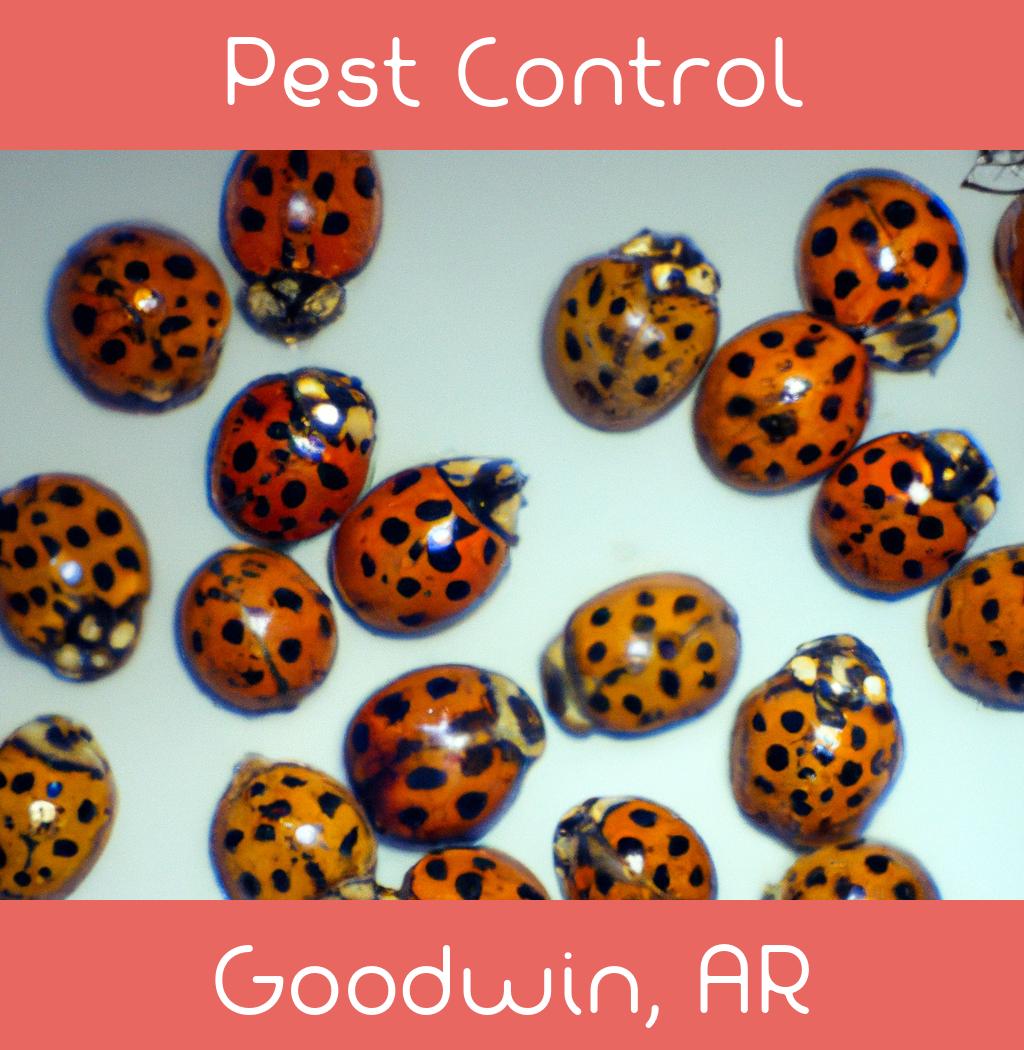 pest control in Goodwin Arkansas