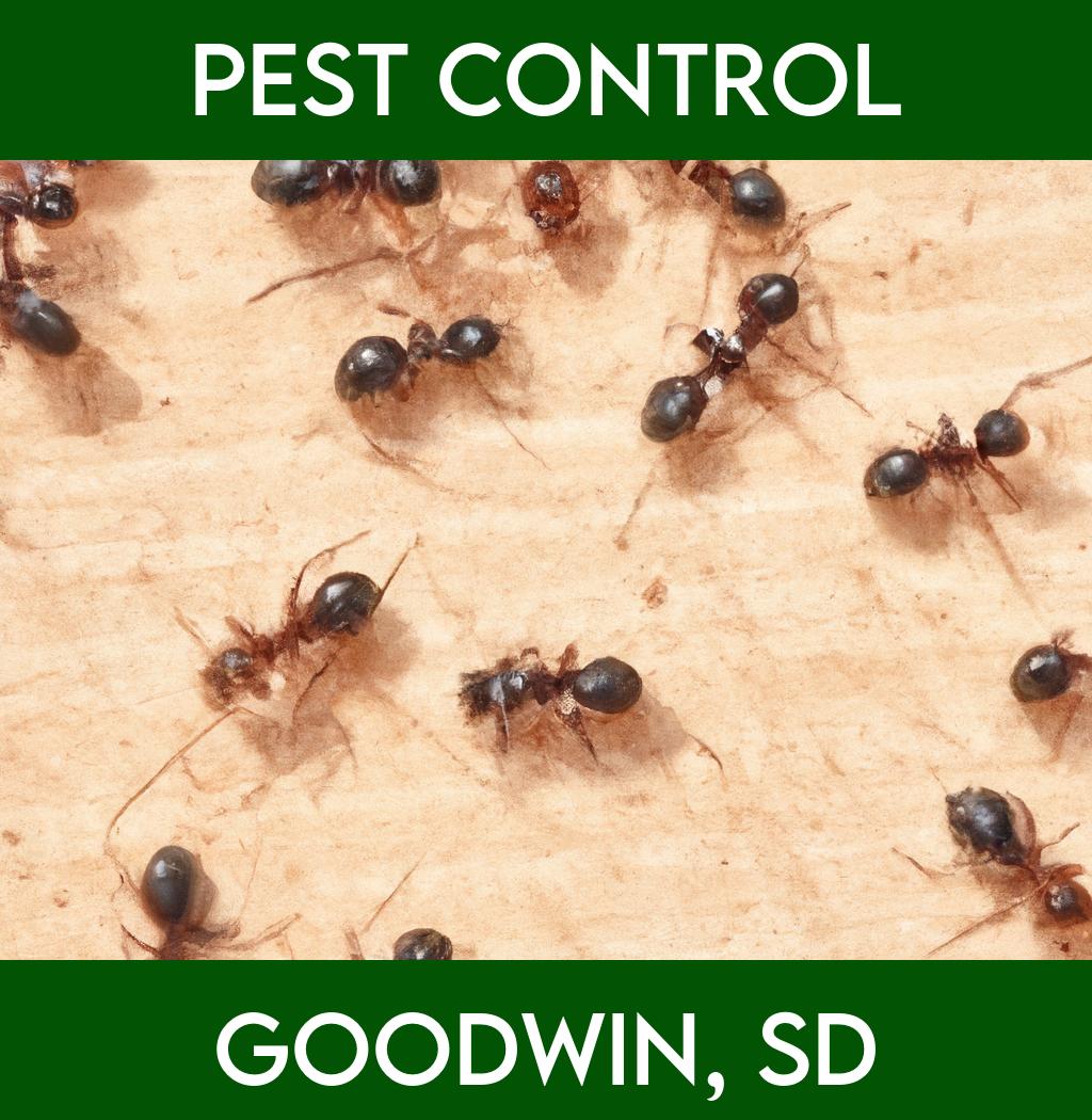 pest control in Goodwin South Dakota