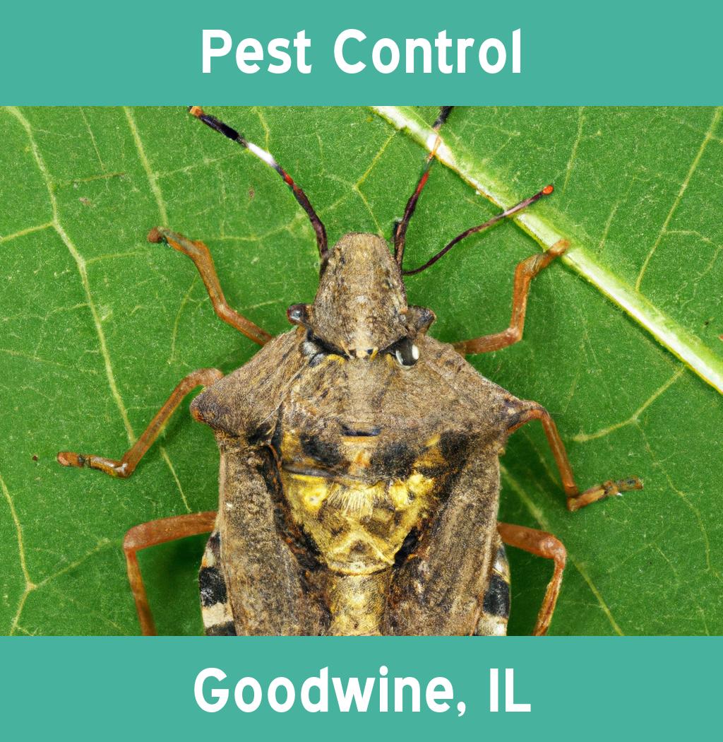 pest control in Goodwine Illinois