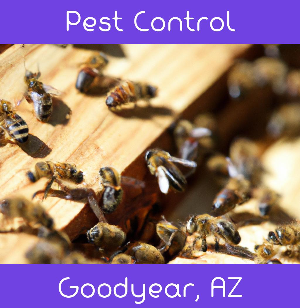 pest control in Goodyear Arizona