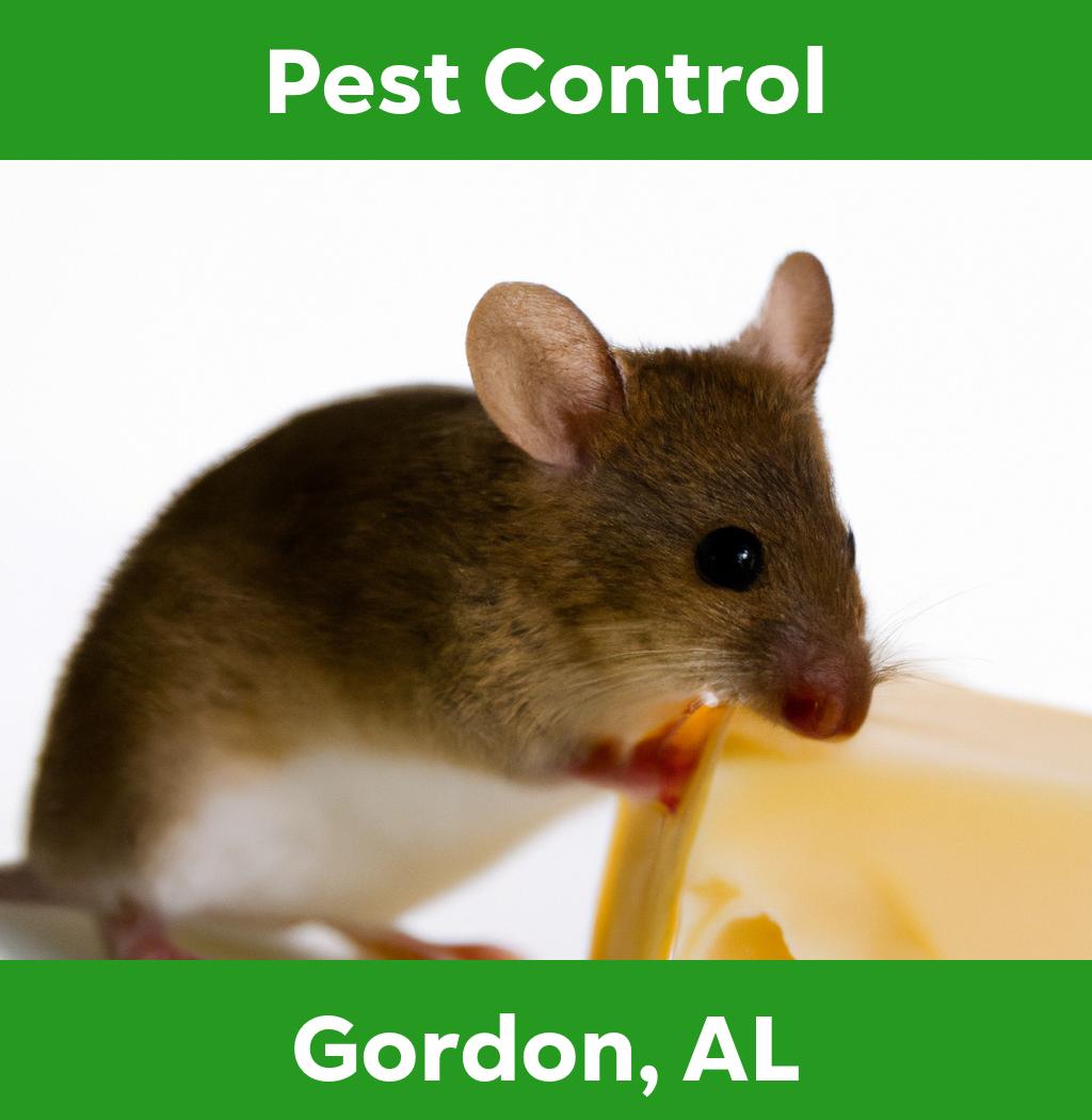 pest control in Gordon Alabama