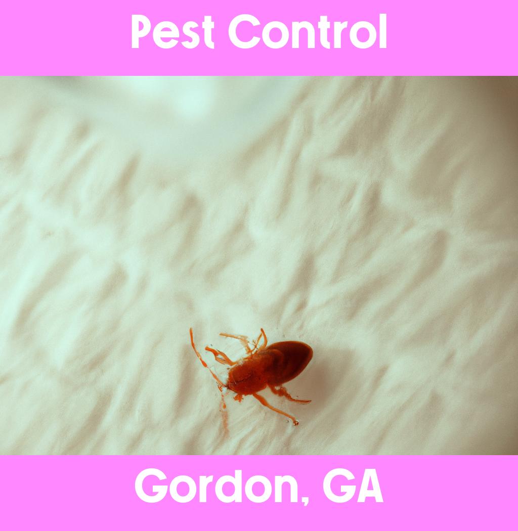pest control in Gordon Georgia