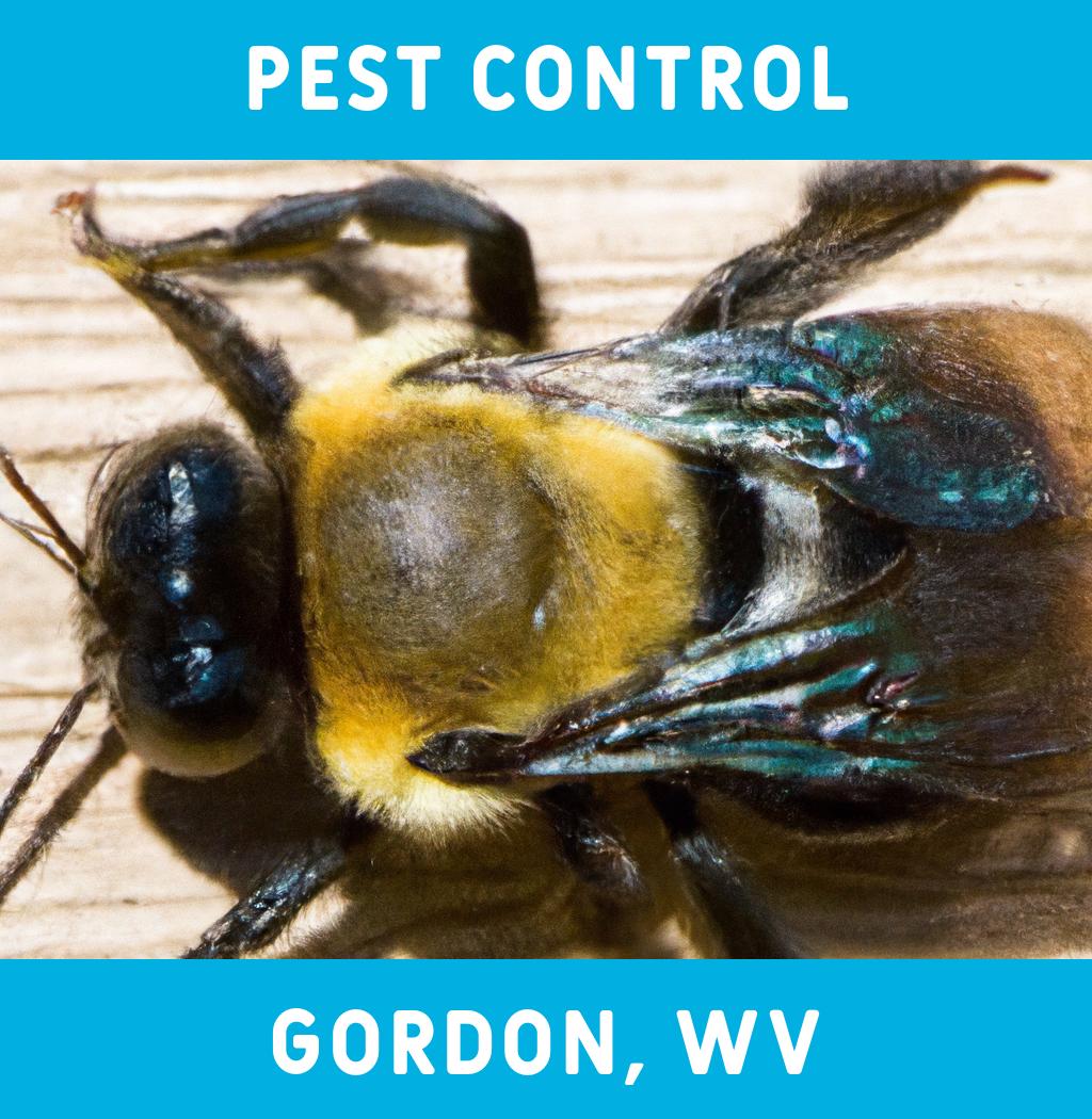 pest control in Gordon West Virginia