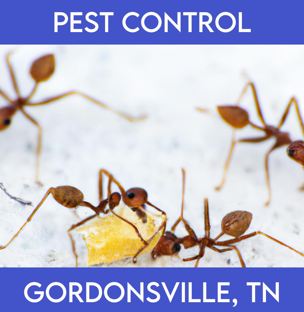 pest control in Gordonsville Tennessee