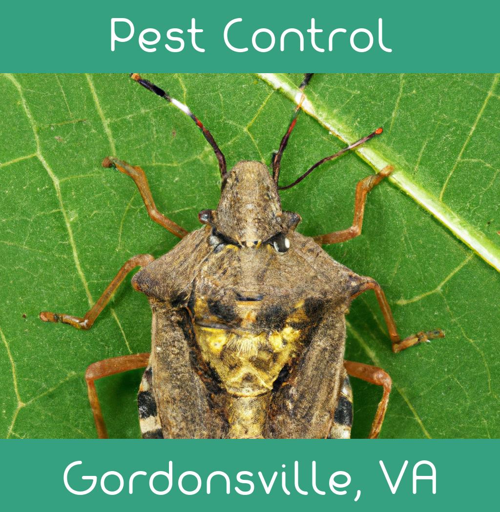 pest control in Gordonsville Virginia