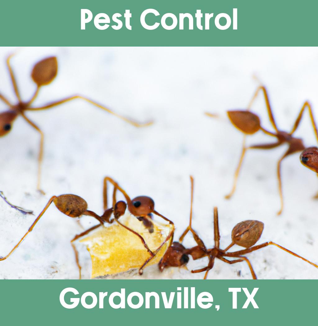 pest control in Gordonville Texas