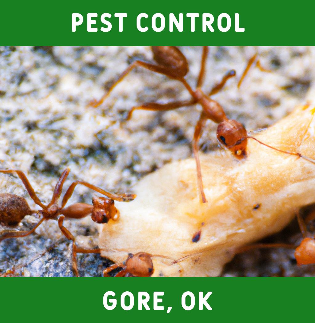 pest control in Gore Oklahoma