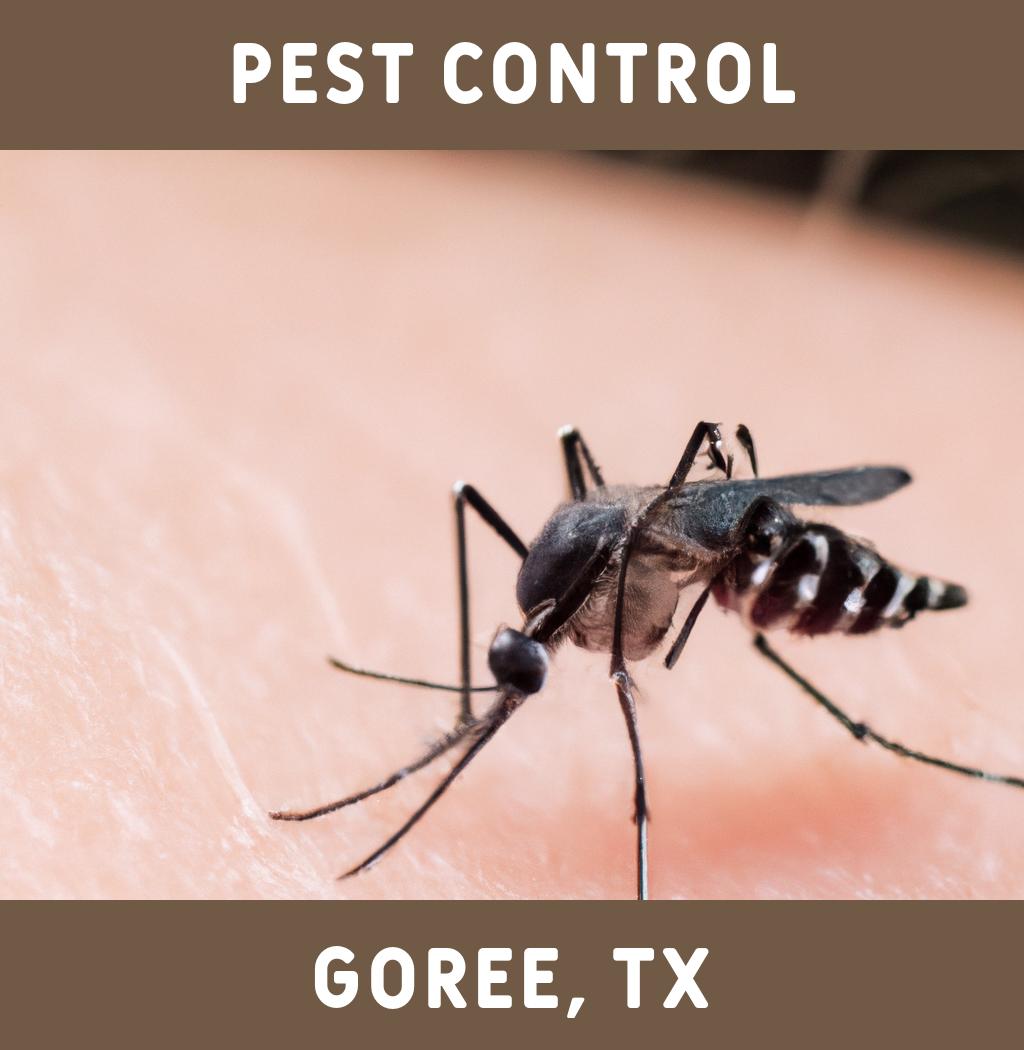 pest control in Goree Texas