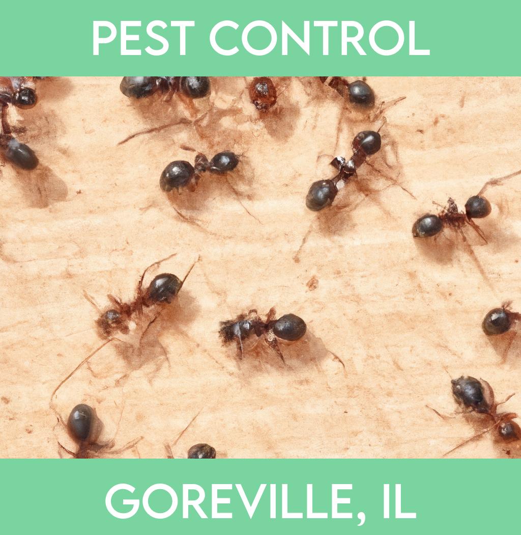 pest control in Goreville Illinois