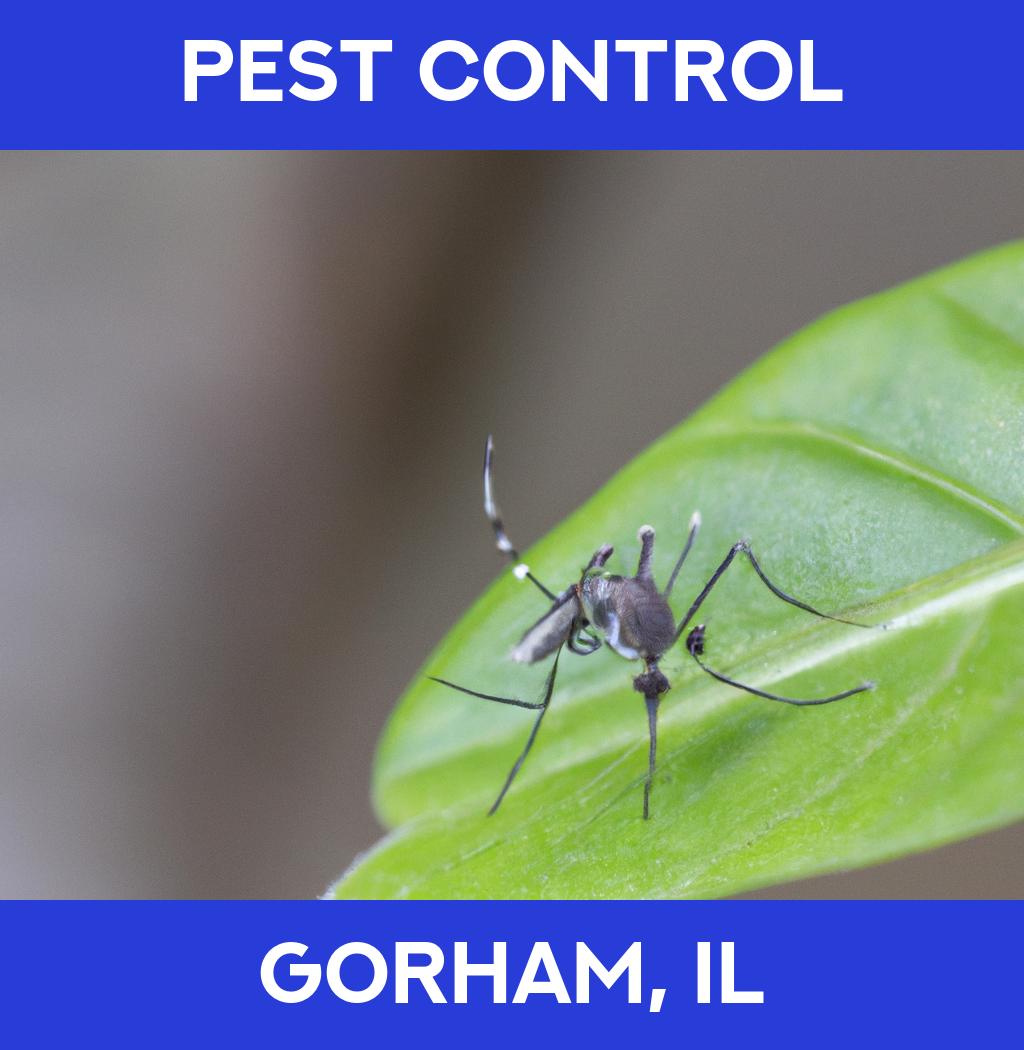 pest control in Gorham Illinois