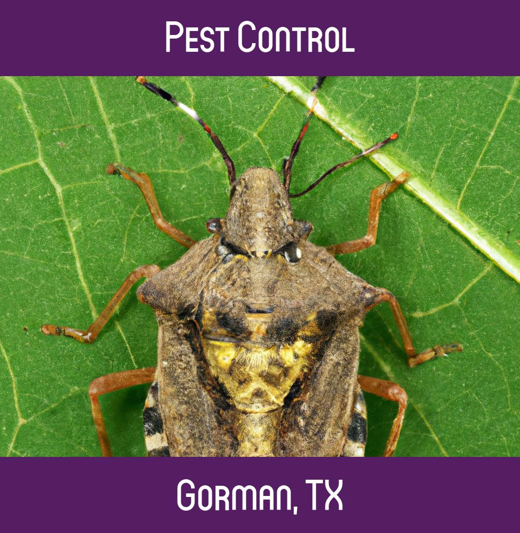 pest control in Gorman Texas