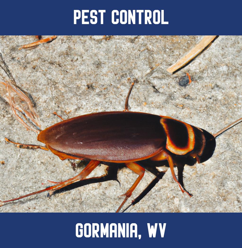 pest control in Gormania West Virginia