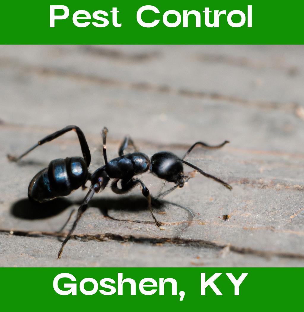 pest control in Goshen Kentucky