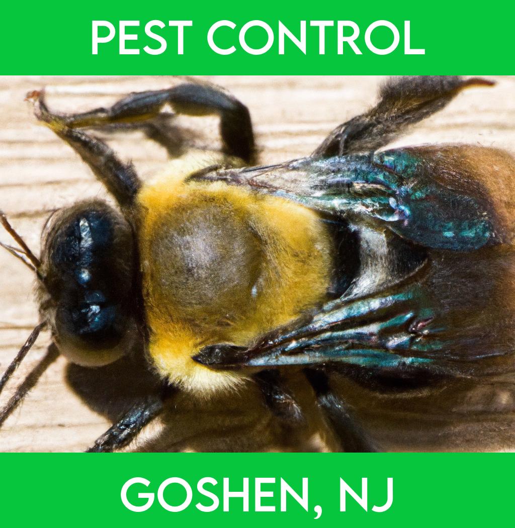 pest control in Goshen New Jersey