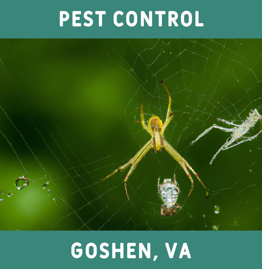 pest control in Goshen Virginia