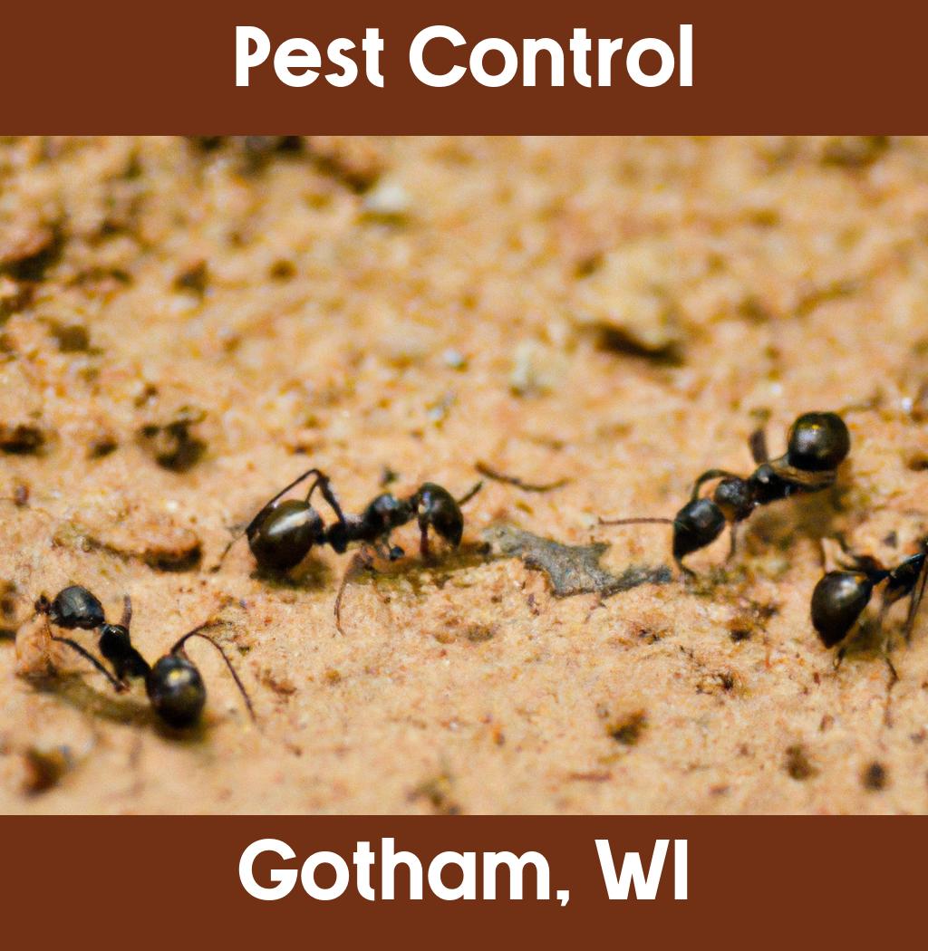pest control in Gotham Wisconsin