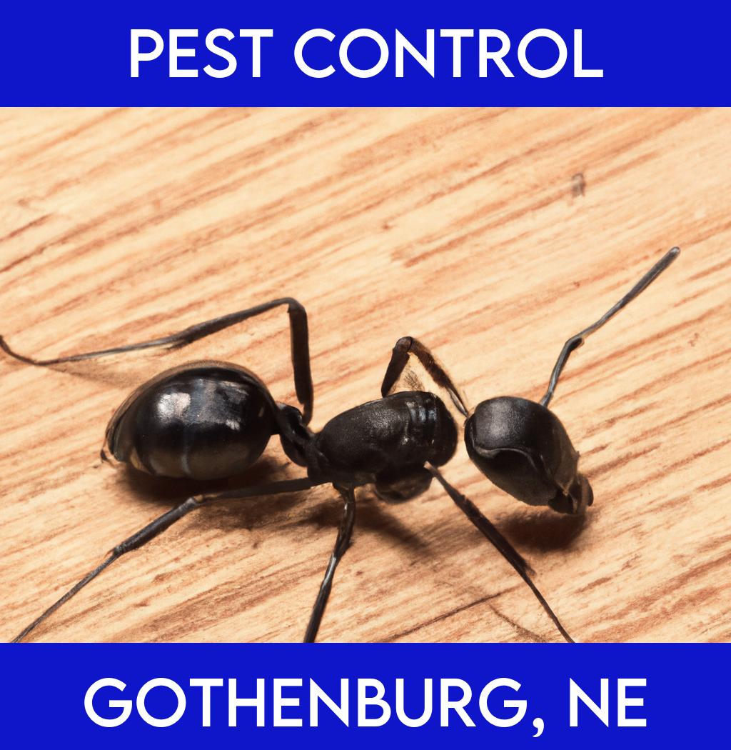 pest control in Gothenburg Nebraska