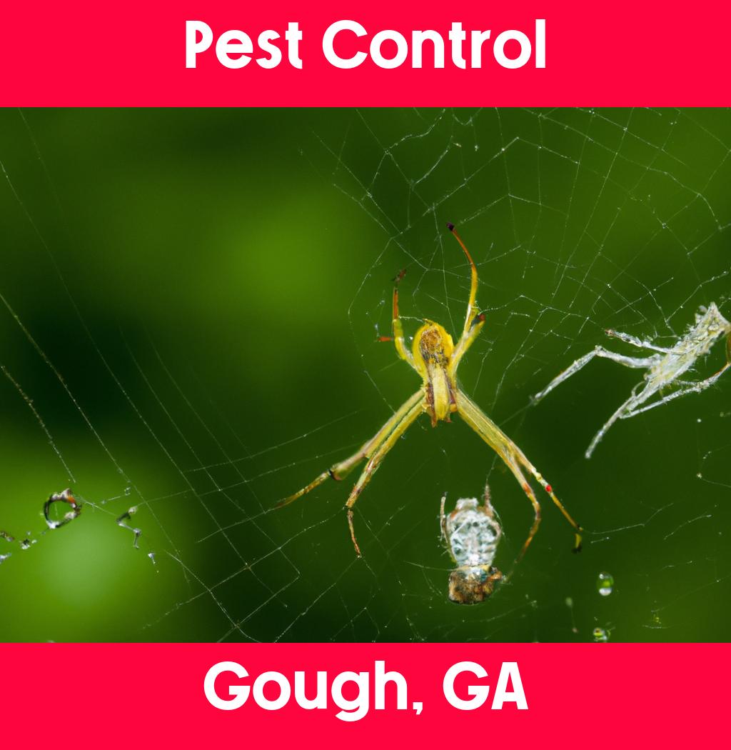 pest control in Gough Georgia