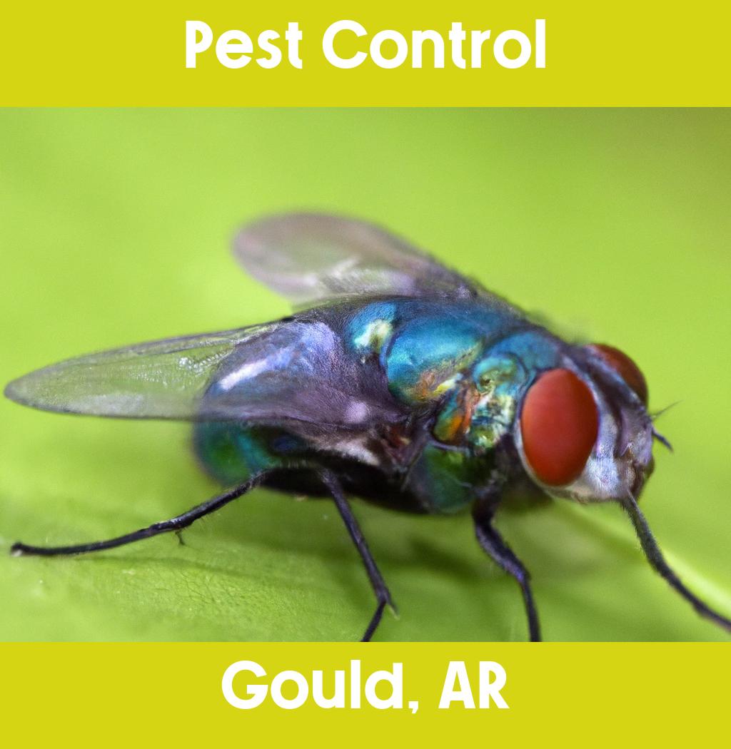 pest control in Gould Arkansas