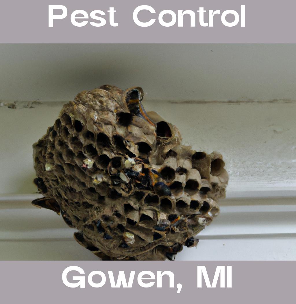 pest control in Gowen Michigan