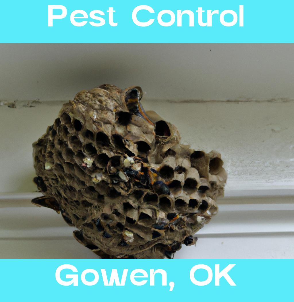 pest control in Gowen Oklahoma